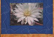 Quilt r�szlet