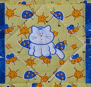 9. Applik�lt cica